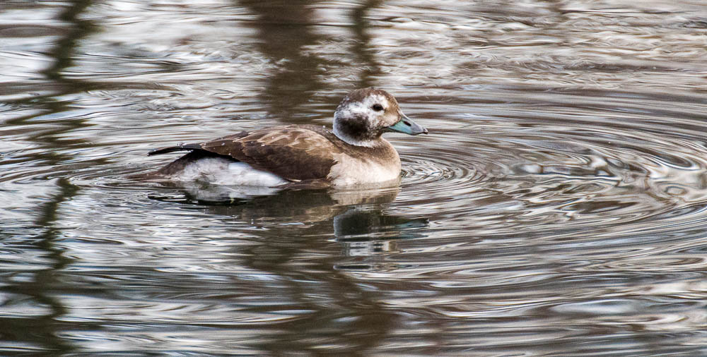 Making my Day&nbsp;Unique