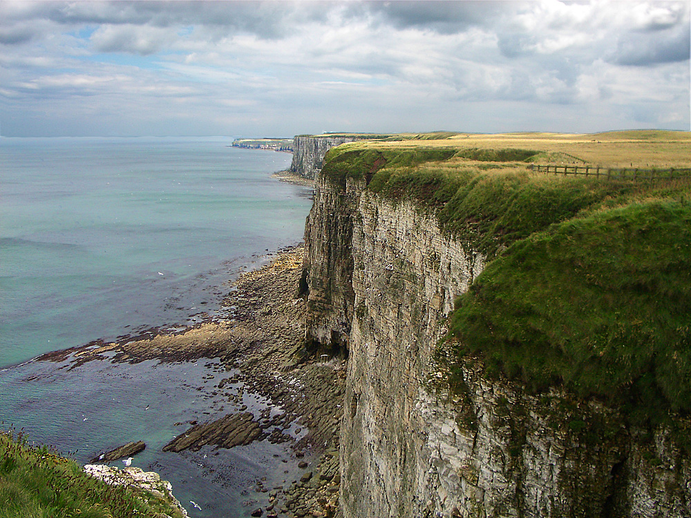 How Wild is&nbsp;This?